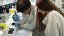 Discovering Medicine & Sciences at Kings College London Discovering Medicine & Sciences at Kings College London