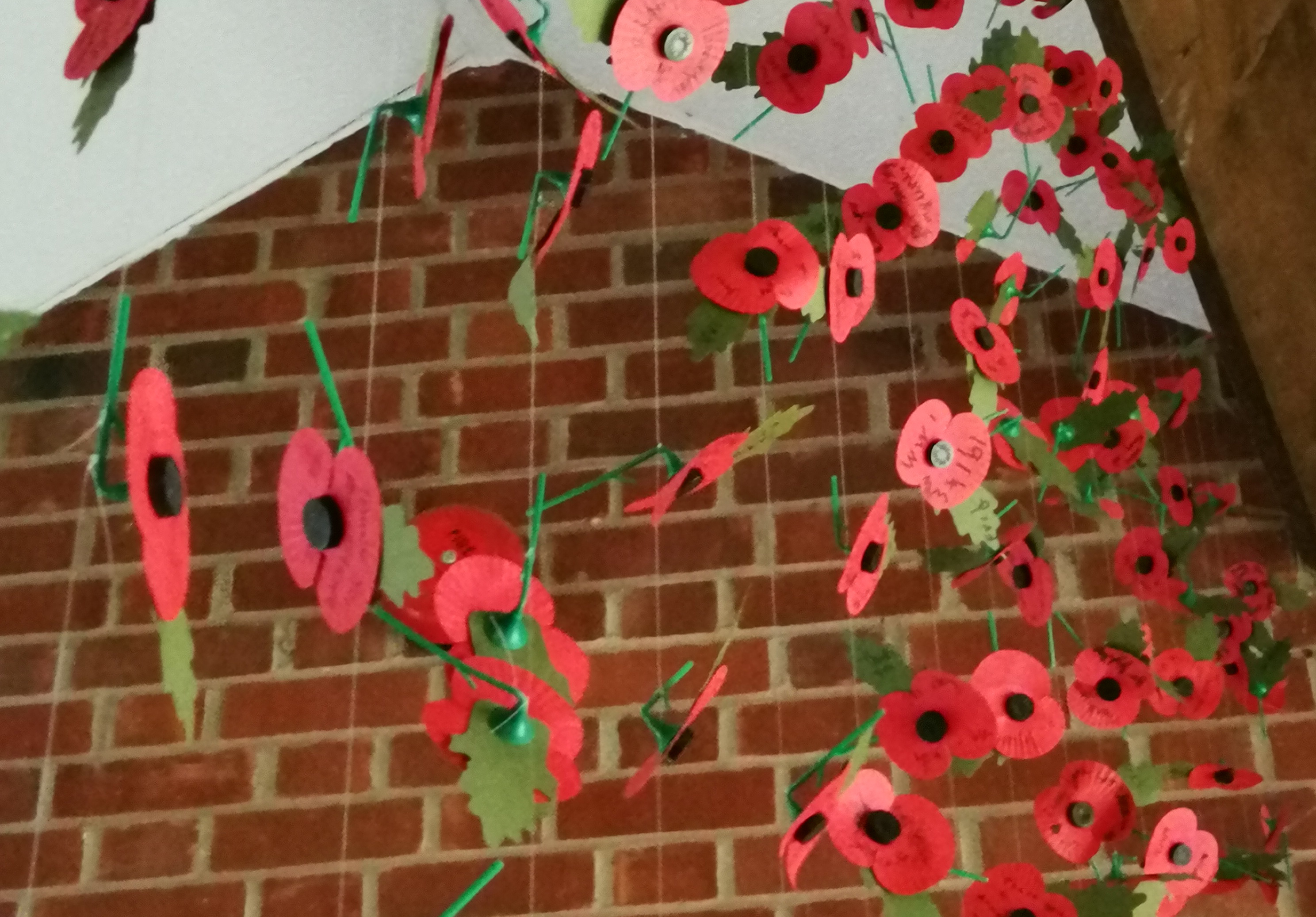 Poppy Installation - Churcher's College