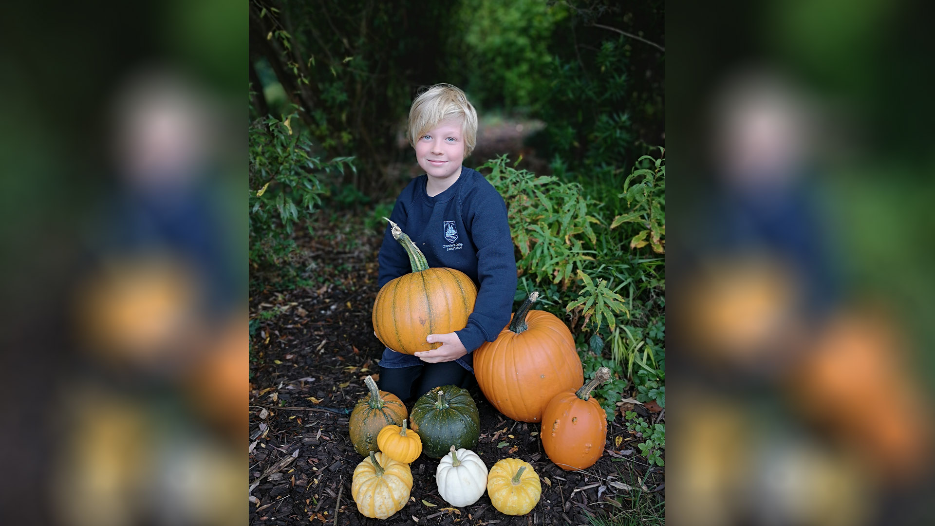 Autumn Leaves and Pumpkins Please