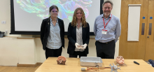 Adventures in Neuroscience