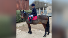 Great Results for Equestrian Team at NSEA Championships Qualifiers Great Results for Equestrian Team at NSEA Championships Qualifiers