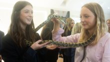 Tom's Talking Reptiles Tom's Talking Reptiles