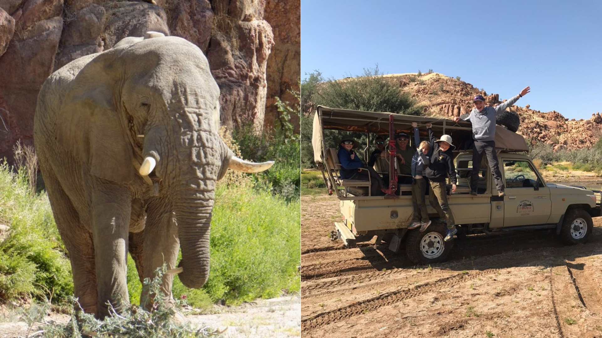 Working with Elephants in Namibia