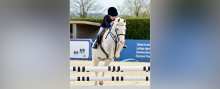 Equestrian Showjumping Success Equestrian Showjumping Success