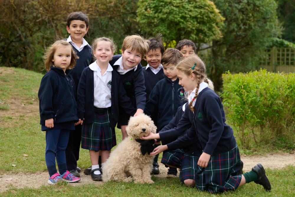 Pastoral School Dog, Noodle