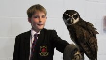 Getting Up Close and Personal with Birds of Prey Getting Up Close and Personal with Birds of Prey