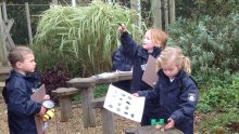 Campfire Fun and Outdoor Learning Campfire Fun and Outdoor Learning