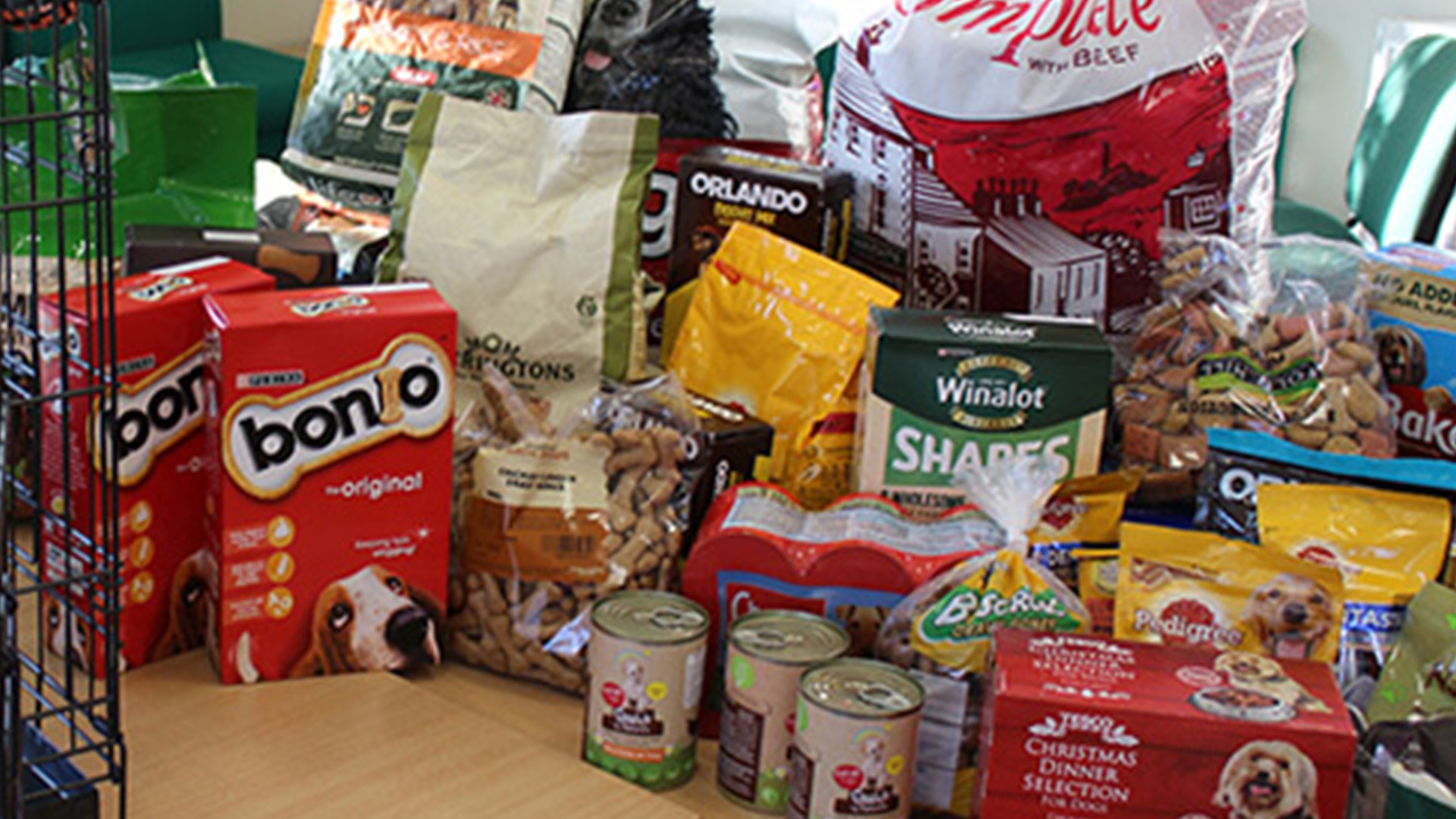 Christmas Animal Food Appeal